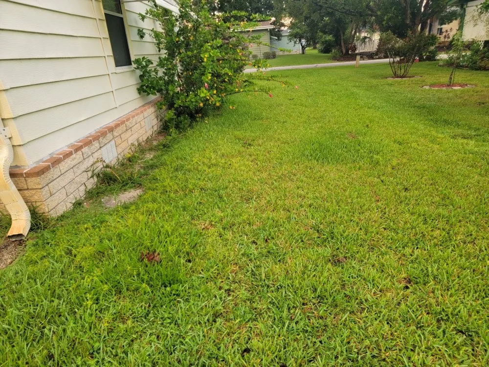 Reliable yard cleanup service for homes across Tavares, FL - Loren's Lawn Care And Services