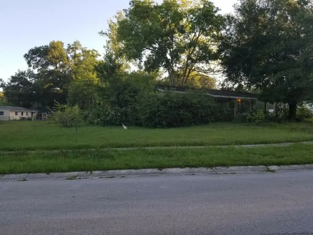 Local lawn care service experts serving Tavares, FL - Loren's Lawn Care And Services