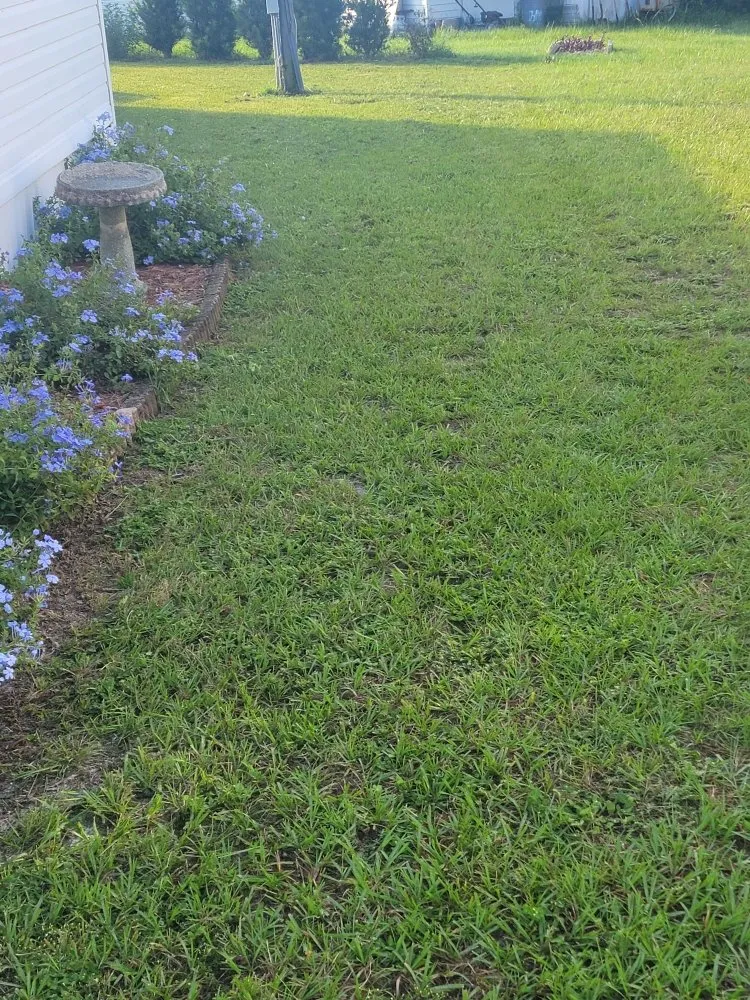 Professional landscape installation in Tavares, FL by Loren's Lawn Care And Services