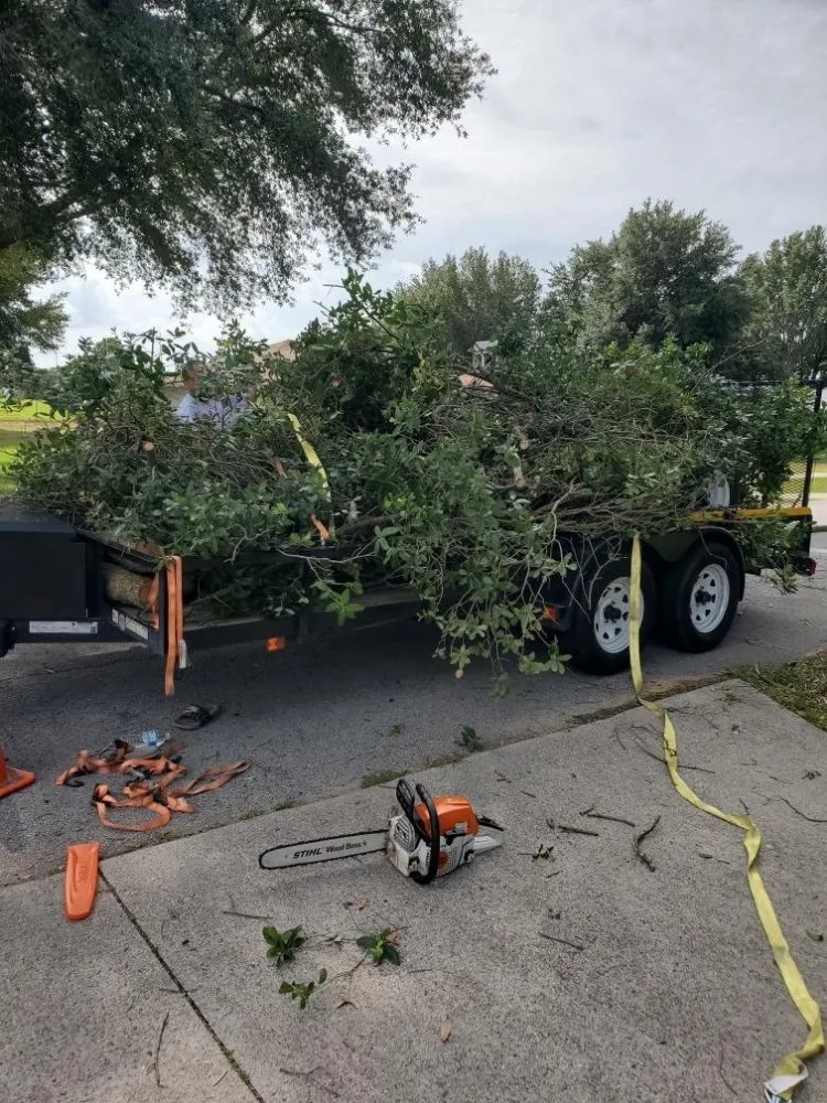 Trusted yard cleanup service in Tavares, FL by Loren's Lawn Care And Services