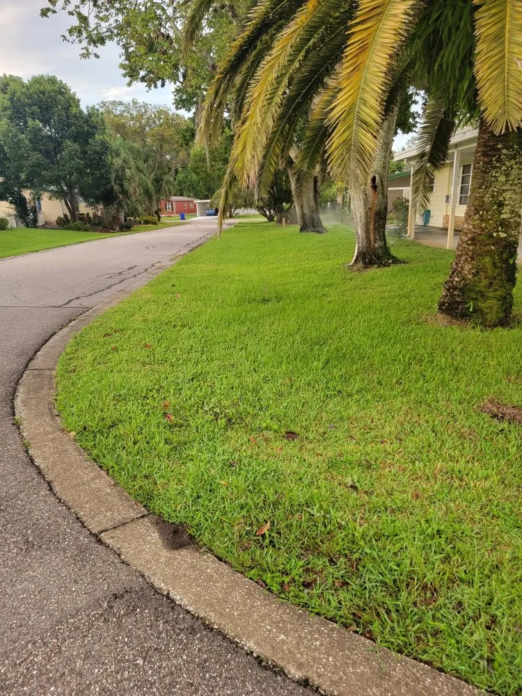 Local yard cleanup service for homes across Tavares, FL - Loren's Lawn Care And Services