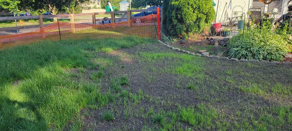 Reliable outdoor landscaping for beautiful yards across Westerville, OH - Lorenz Lawn & Landscape