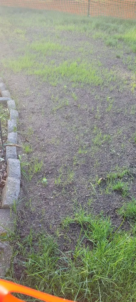 Local outdoor landscaping in Westerville, OH - Lorenz Lawn & Landscape