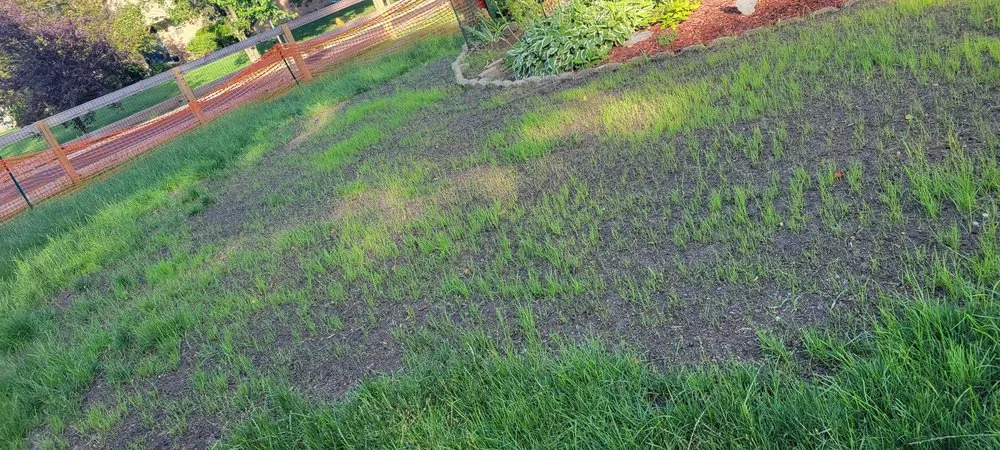 Reliable garden landscaping for year-round maintenance in Westerville, OH by Lorenz Lawn & Landscape