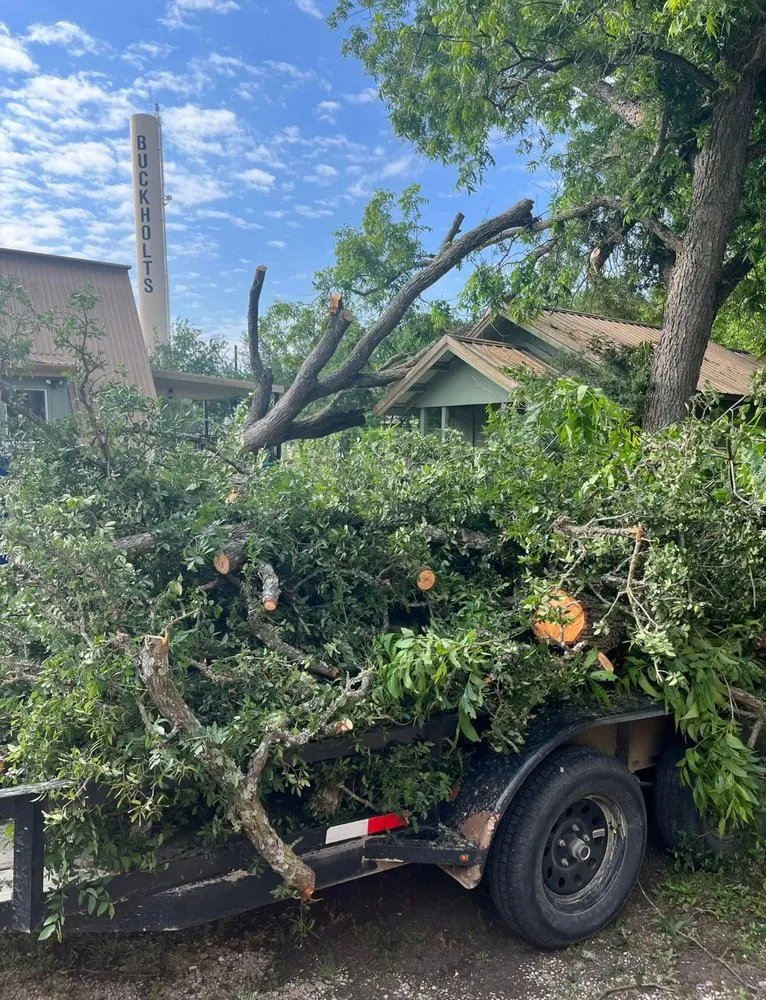 Reliable lawn mowing service for homes across Bartlett, TX - Lorenz Tree Service