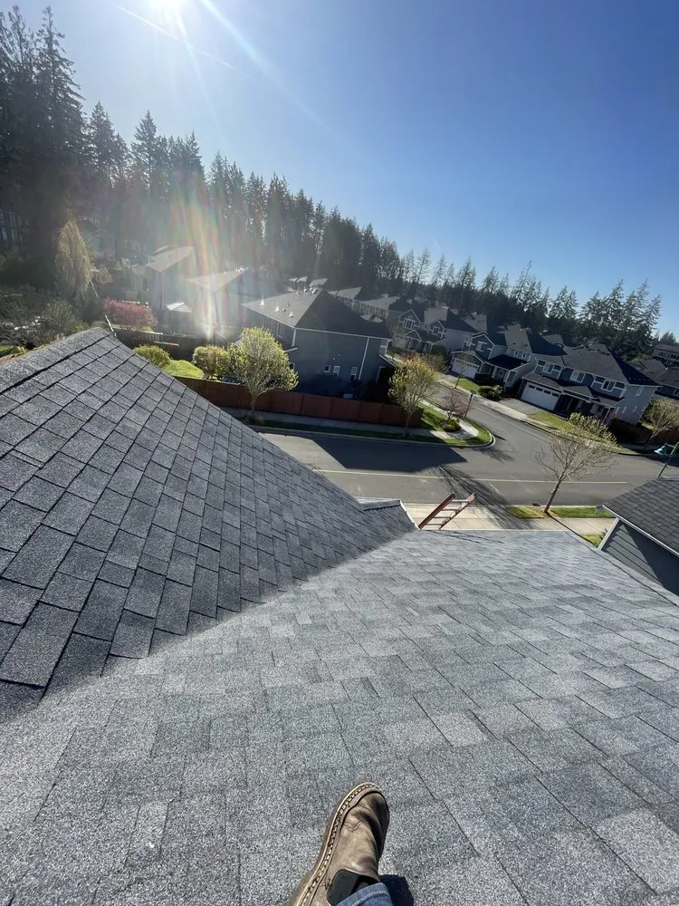 Trusted lawn care service in Newcastle, WA by Lorenzo Landscape