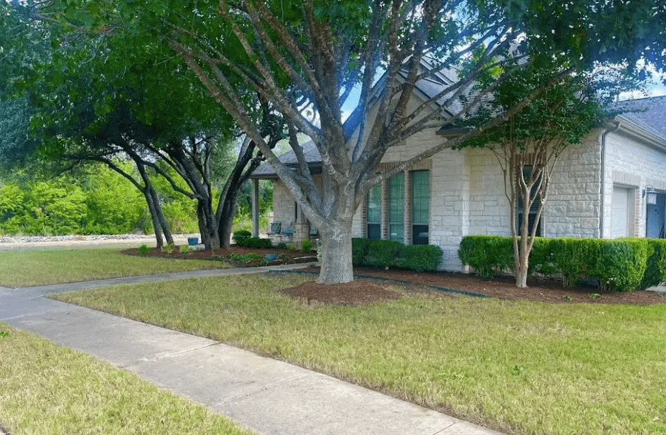 Affordable lawn care service for residential properties across Pflugerville, TX - Lorenzo Landscaping