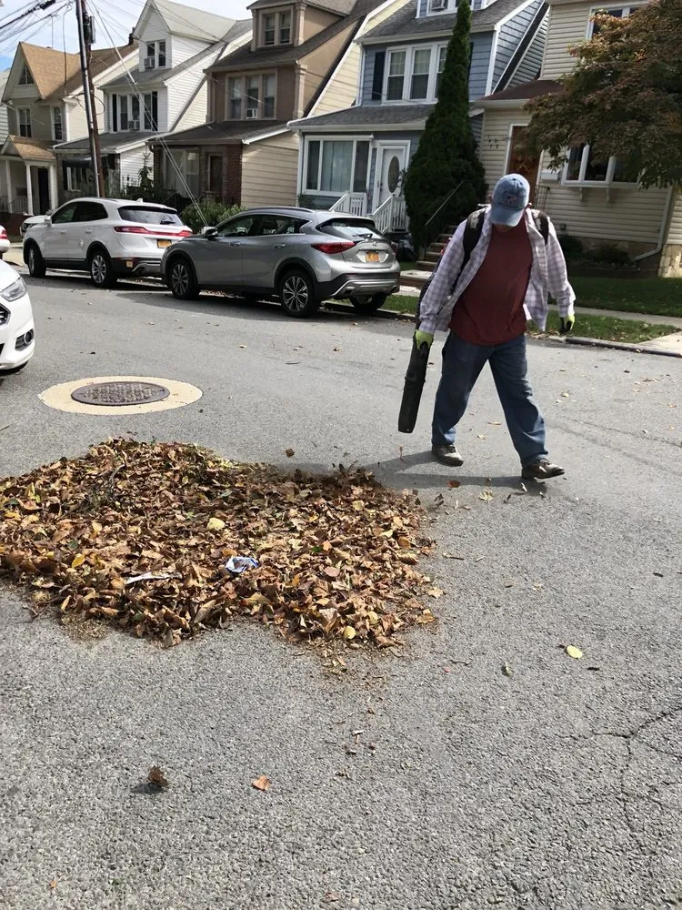 Top-rated yard cleanup service in Queens, NY by Lorenzo Landscaping