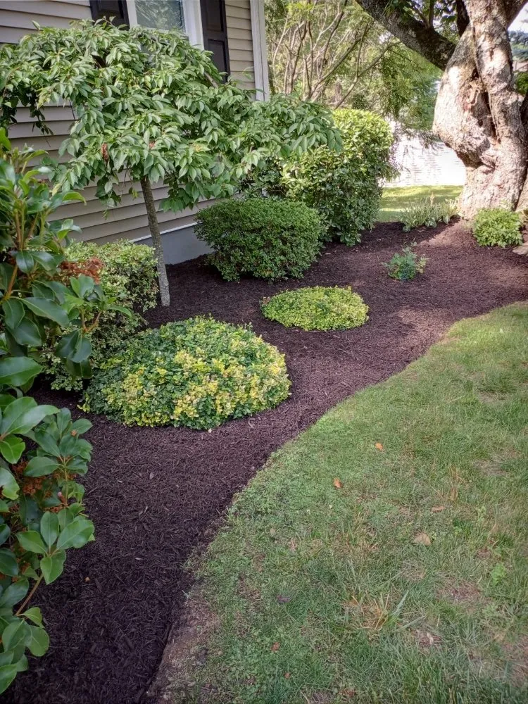 Affordable landscape design experts serving Stratford, CT - Lorenzo's Landscaping & Tree Service