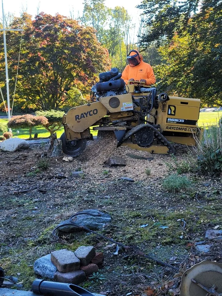 Local yard maintenance for outdoor upgrades across Stratford, CT - Lorenzo's Landscaping & Tree Service