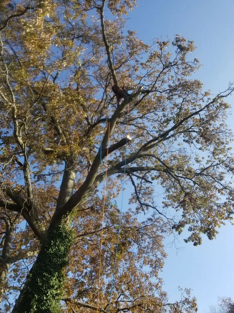 Expert landscape installation in Stratford, CT - Lorenzo's Landscaping & Tree Service