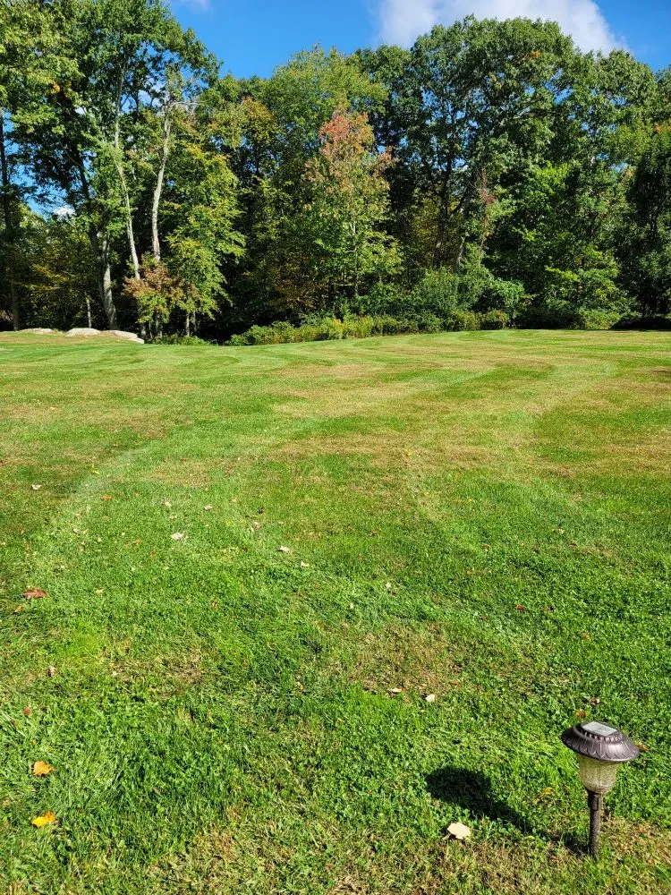 Professional landscape installation for residential properties in Stratford, CT by Lorenzo's Landscaping & Tree Service