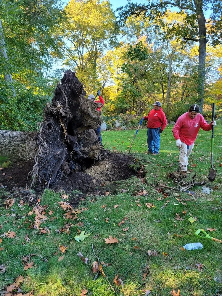Trusted outdoor landscaping with custom design across Stratford, CT - Lorenzo's Landscaping & Tree Service