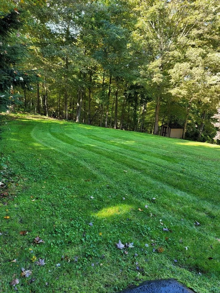 Reliable yard cleanup service for homes in Stratford, CT by Lorenzo's Landscaping & Tree Service