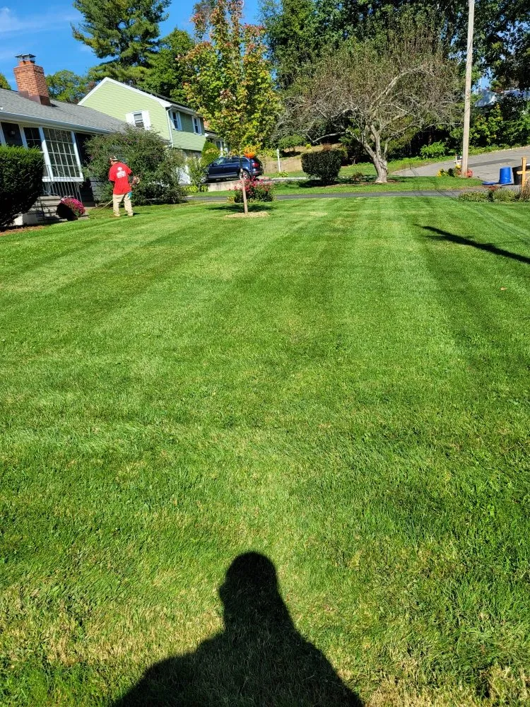 Expert lawn care service with custom design across Stratford, CT - Lorenzo's Landscaping & Tree Service