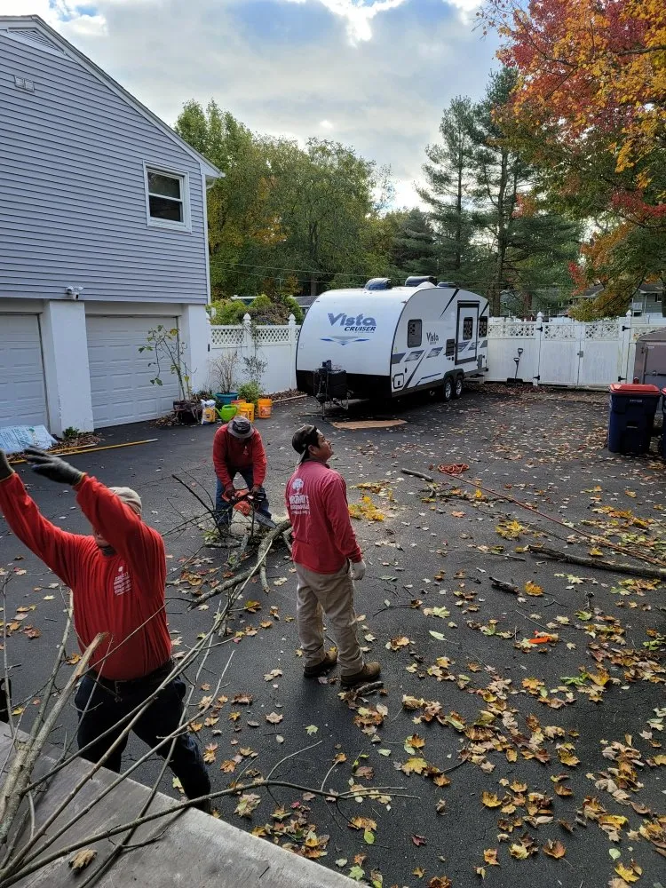 Reliable yard cleanup service in Stratford, CT by Lorenzo's Landscaping & Tree Service