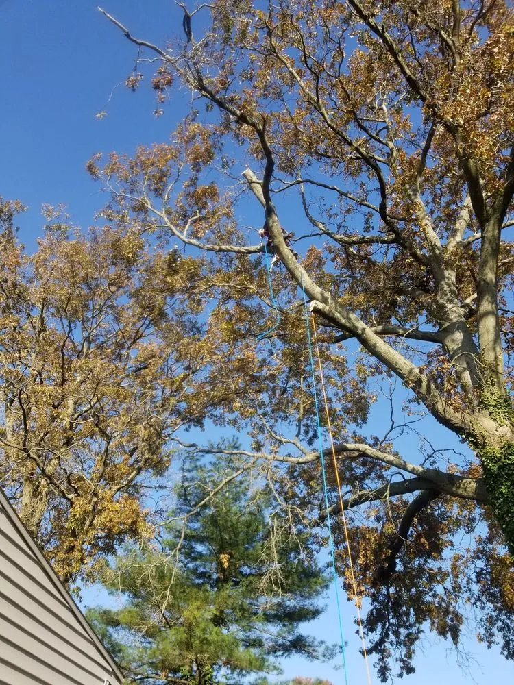 Expert lawn mowing service in Stratford, CT by Lorenzo's Landscaping & Tree Service