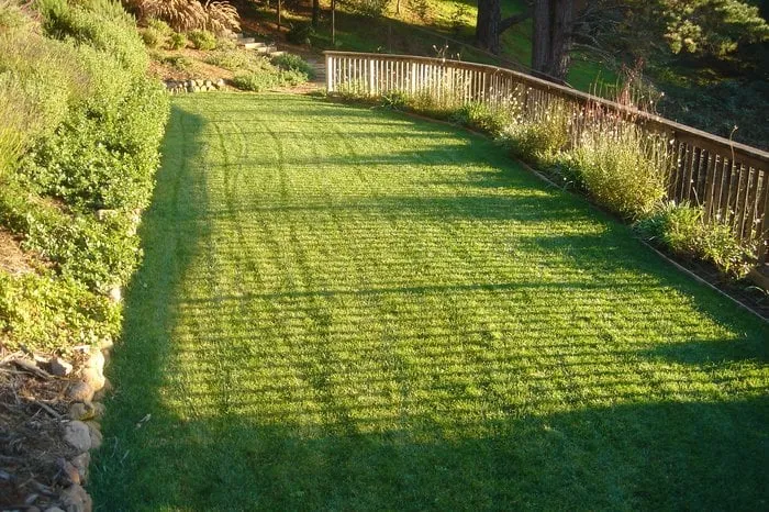Affordable yard maintenance in San Rafael, CA - Lorenzo's Landscaping