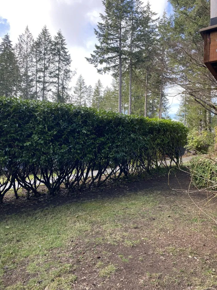 Trusted landscape installation with custom design across Shelton, WA - Lorenzos Landscaping