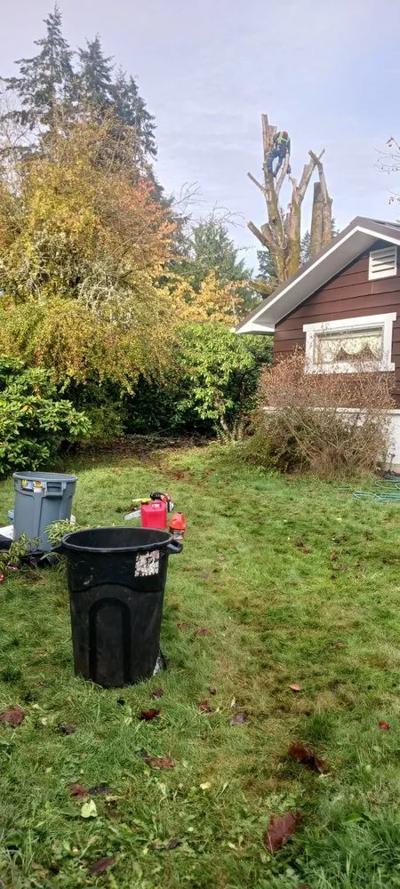 Professional lawn mowing service experts serving Shelton, WA - Lorenzos Landscaping