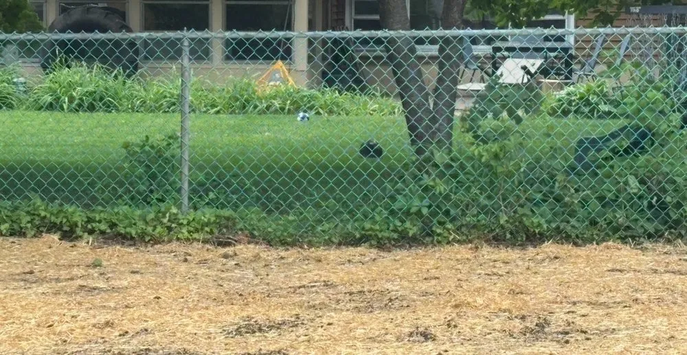 Local landscape design for homes in Sicklerville, NJ by Lorenzo's Lawn & Landscape