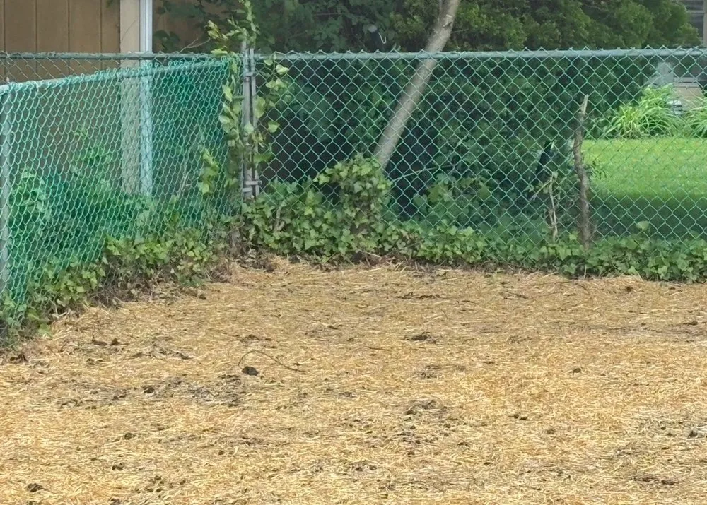 Custom residential landscaping for outdoor upgrades in Sicklerville, NJ by Lorenzo's Lawn & Landscape