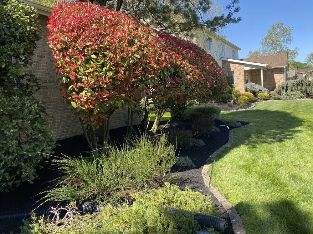 Trusted lawn mowing service in Sicklerville, NJ - Lorenzo's Lawn & Landscape