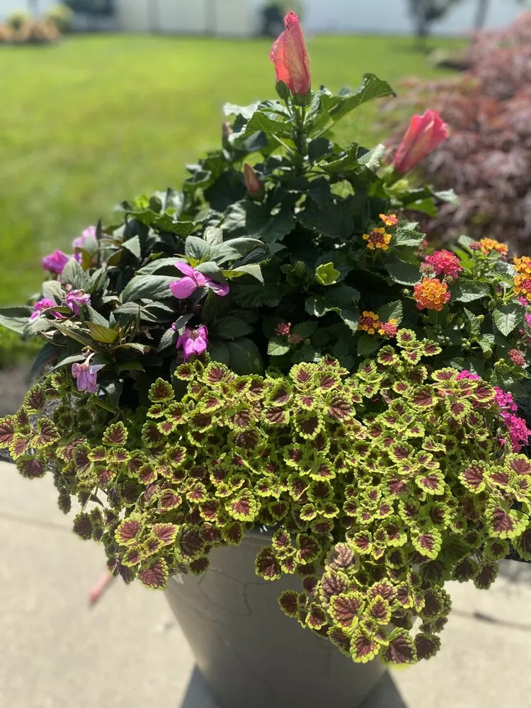 Reliable lawn care service in Sicklerville, NJ - Lorenzo's Lawn & Landscape