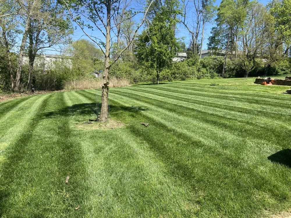 Affordable lawn mowing service in Covington, KY by Lorenzo’s Lawn Care And Landscaping