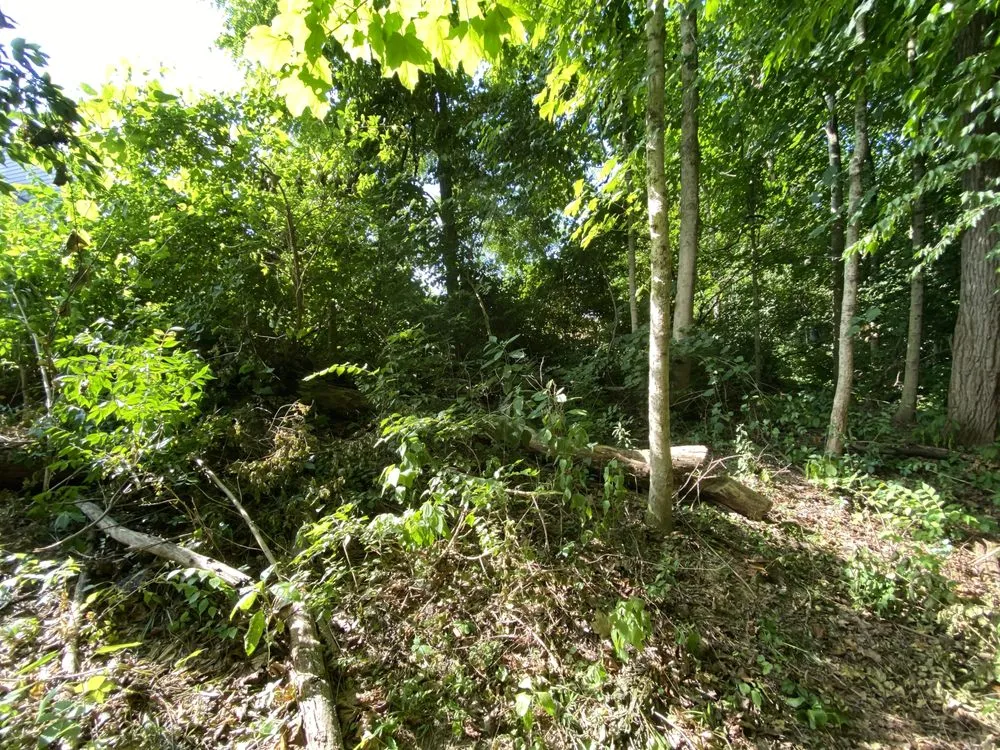 Custom landscape design in Covington, KY - Lorenzo’s Lawn Care And Landscaping