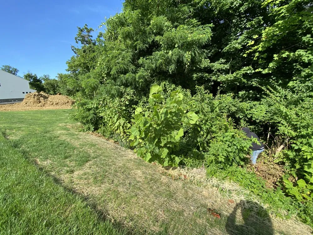 Top-rated outdoor landscaping for beautiful yards in Covington, KY by Lorenzo’s Lawn Care And Landscaping