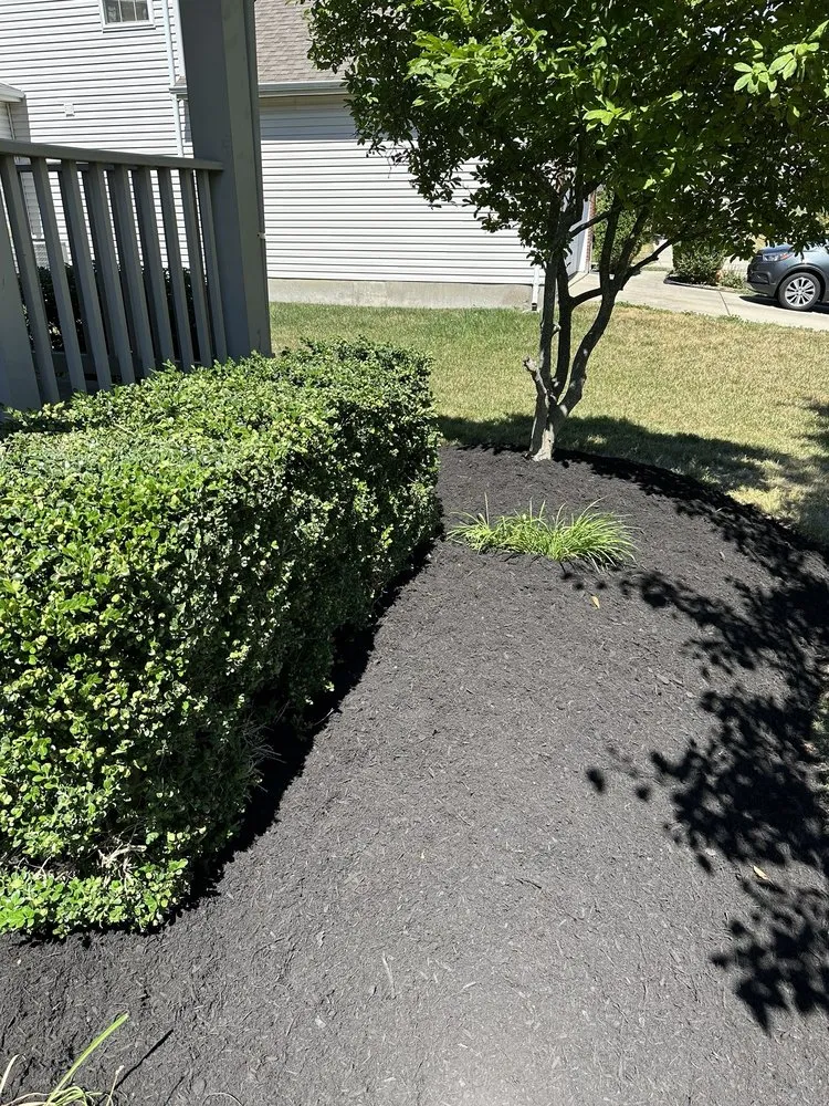 Affordable lawn care service for homes in Covington, KY by Lorenzo’s Lawn Care And Landscaping