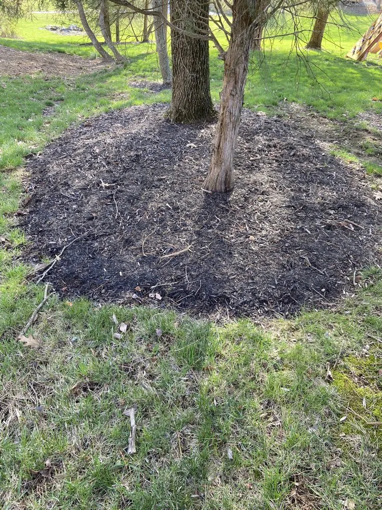 Custom lawn care service for residential properties in Covington, KY by Lorenzo’s Lawn Care And Landscaping