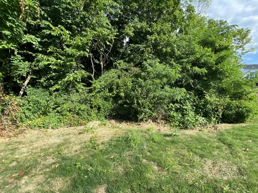 Affordable landscaping services experts serving Covington, KY - Lorenzo’s Lawn Care And Landscaping