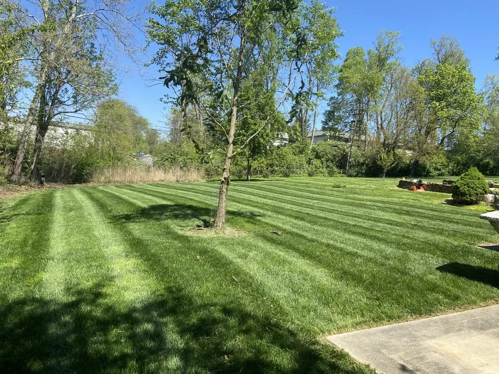 Professional lawn mowing service for year-round maintenance in Covington, KY by Lorenzo’s Lawn Care And Landscaping