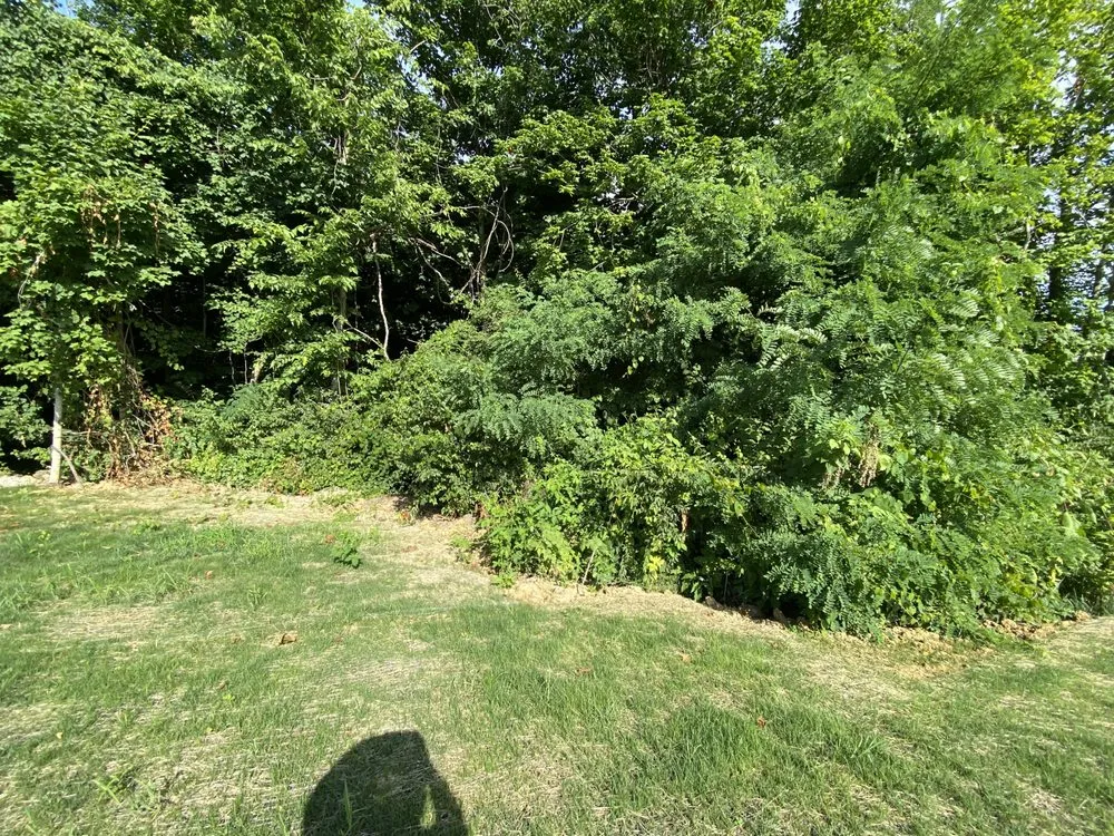 Expert yard maintenance in Covington, KY - Lorenzo’s Lawn Care And Landscaping