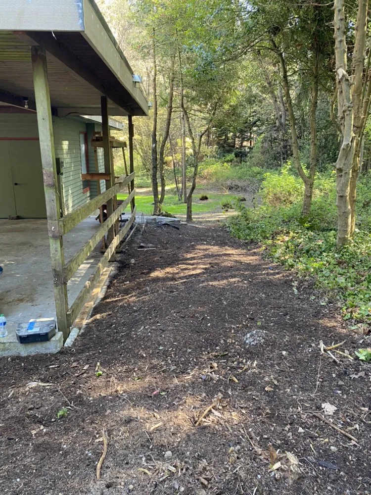 Expert yard maintenance in Bremerton, WA - Lorenzo’s RR Landscape & Lawn Care