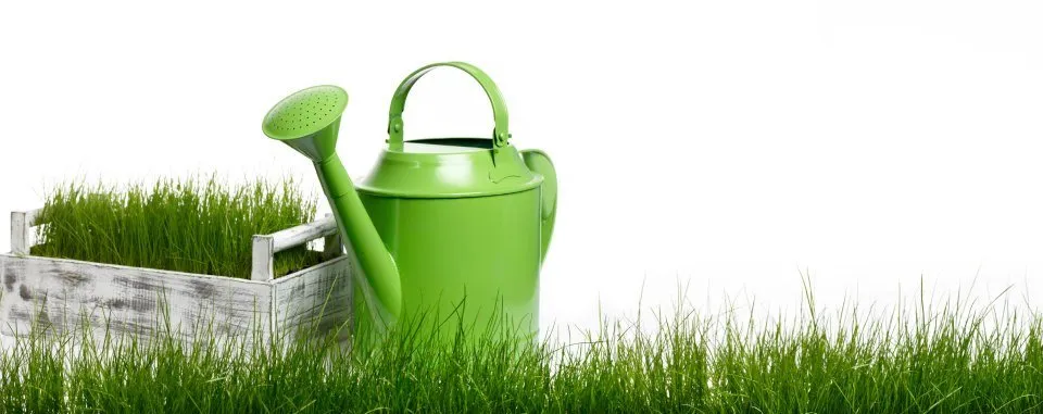 Top-rated yard cleanup service in Bend, OR - Lorenzo's Soil