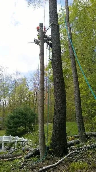 Affordable landscape installation for year-round maintenance across Arlington, VT - LoriMark Landscaping
