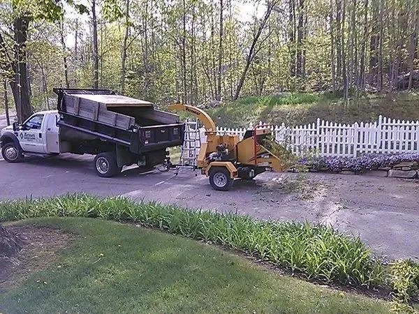 Expert yard cleanup service in Arlington, VT - LoriMark Landscaping