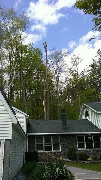 Custom residential landscaping experts serving Arlington, VT - LoriMark Landscaping