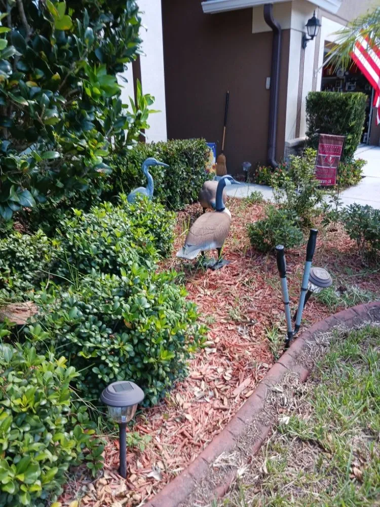 Local landscaping services for residential properties in Hudson, FL by Lori's Landscape Weeding & Pruning Services
