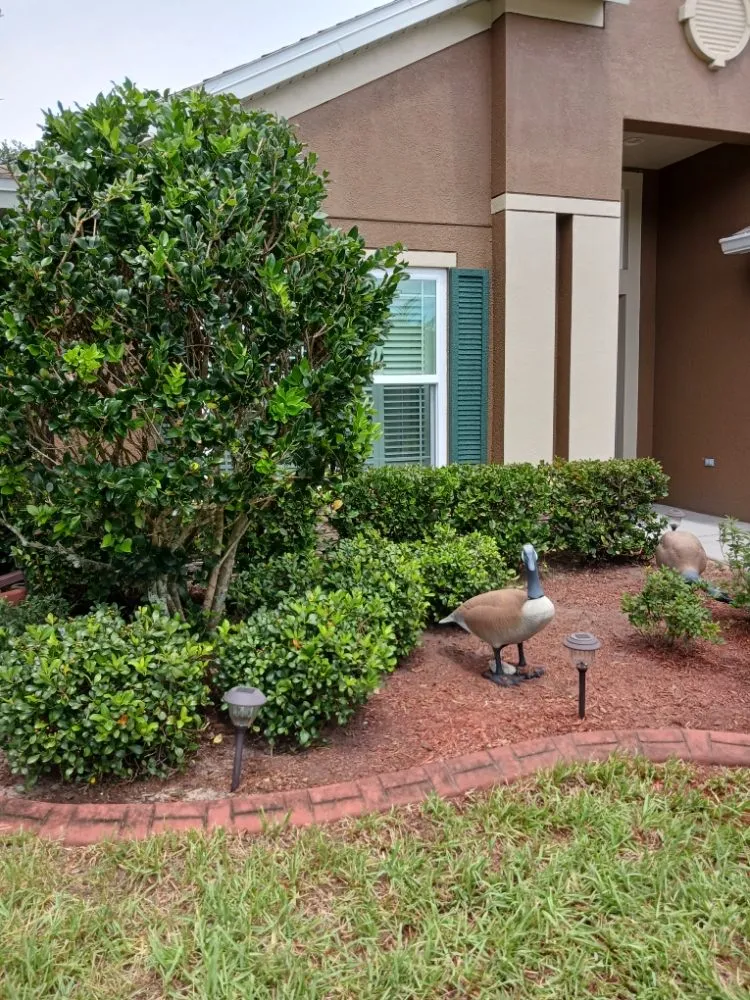 Affordable landscape installation in Hudson, FL by Lori's Landscape Weeding & Pruning Services
