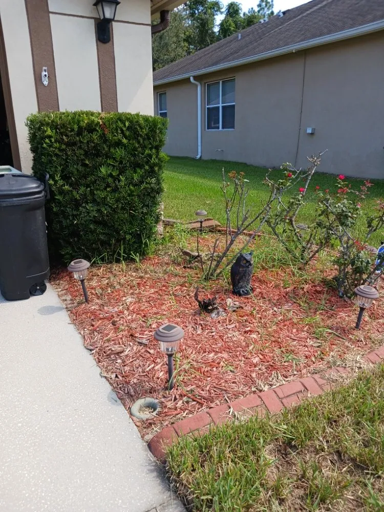 Custom landscape installation with custom design across Hudson, FL - Lori's Landscape Weeding & Pruning Services
