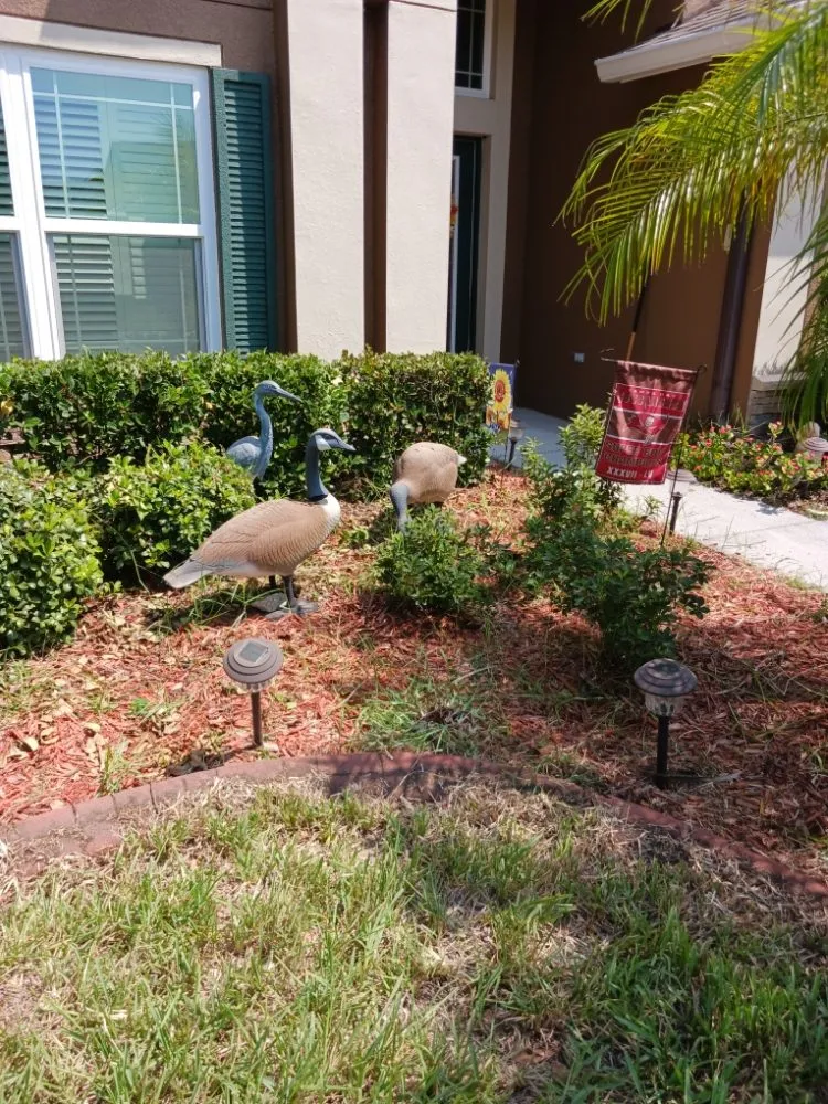 Reliable lawn care service for beautiful yards across Hudson, FL - Lori's Landscape Weeding & Pruning Services