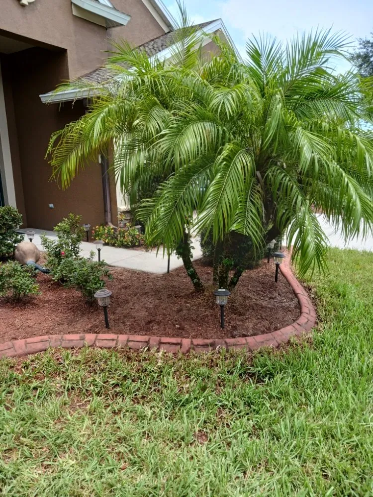 Expert landscape design for homes across Hudson, FL - Lori's Landscape Weeding & Pruning Services