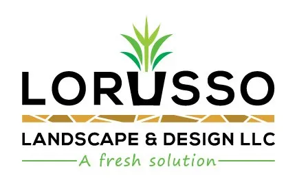 Professional lawn care service with custom design across Belmar, NJ - Lorusso Landscape & Design