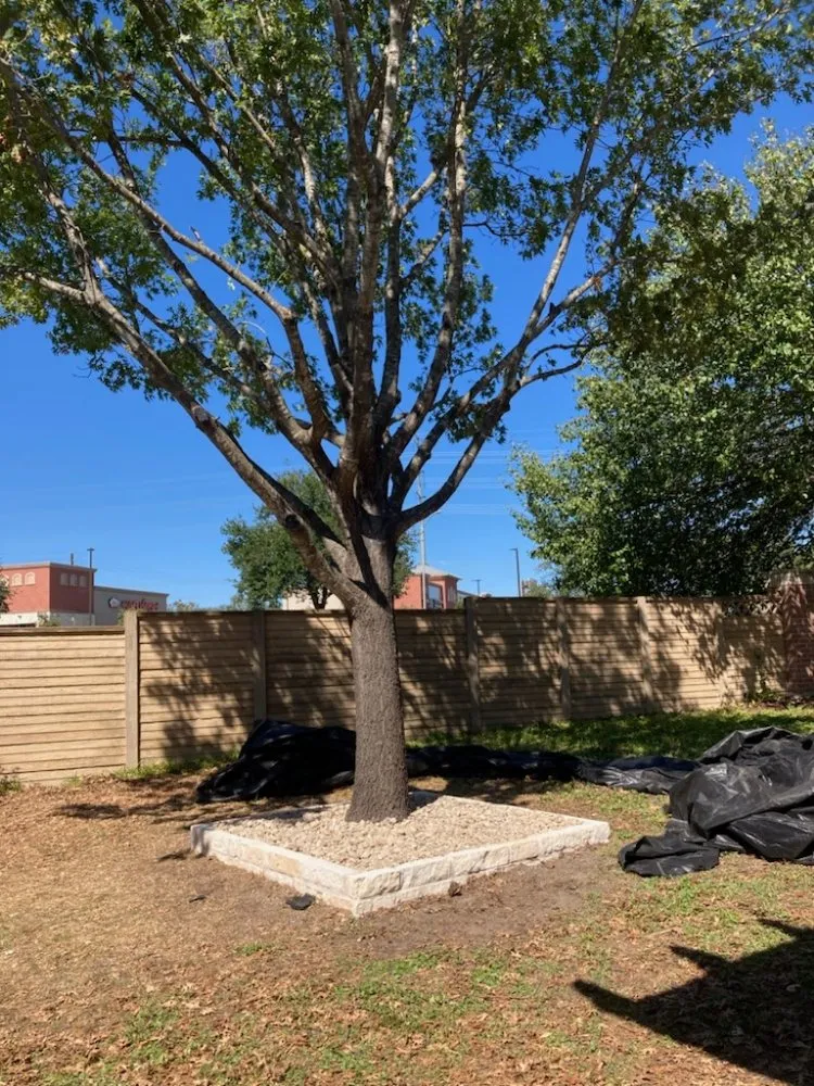 Professional yard maintenance for year-round maintenance across Austin, TX - Los 3 Gallos Giros