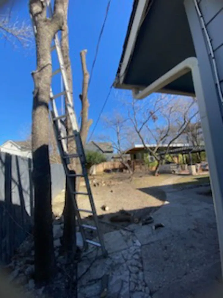 Expert yard cleanup service for residential properties in Austin, TX by Los 3 Gallos Giros