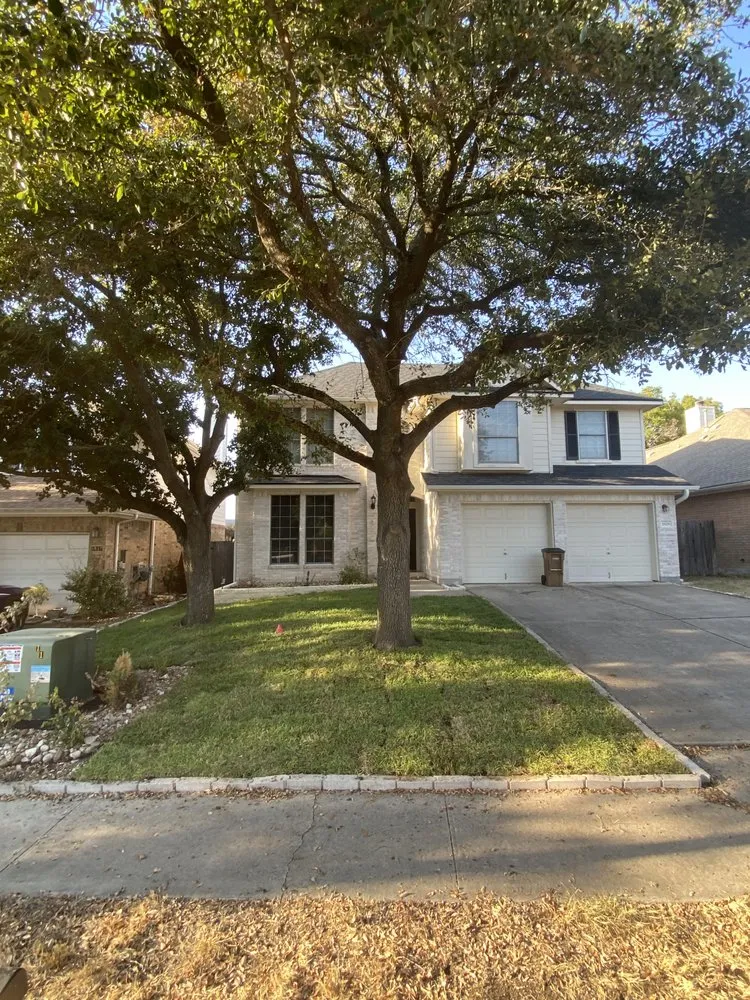 Reliable yard maintenance near you in Austin, TX by Los 3 Gallos Giros